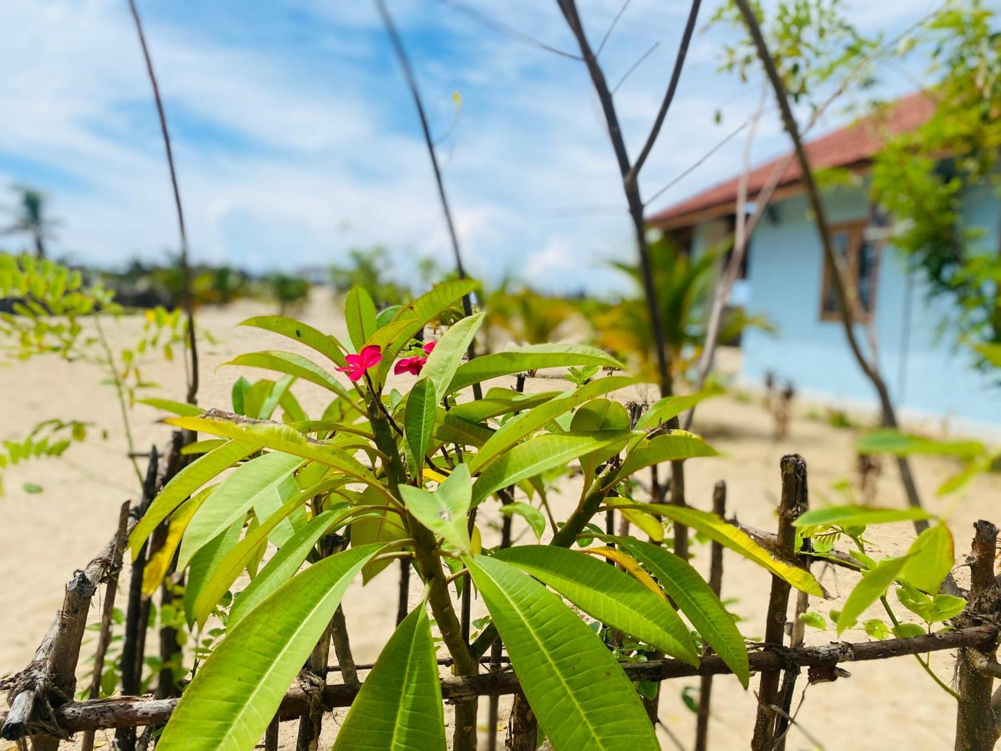 Oceano Beach Villa Arugam Kudah Eksteriør bilde